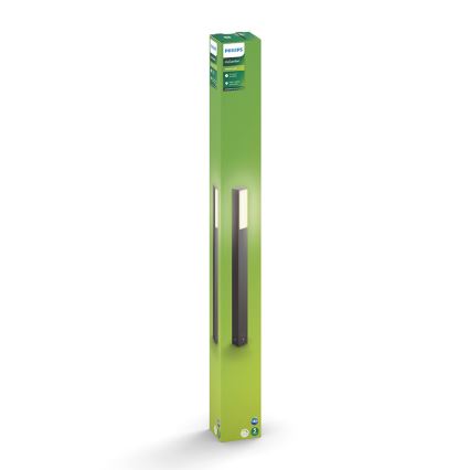 Philips - LED spoljašnja svetiljka 2xLED/4,5W/230V IP44