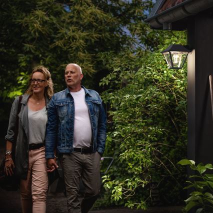 Philips - Spoljašnje zidno svetlo E27/60W/230V IP44