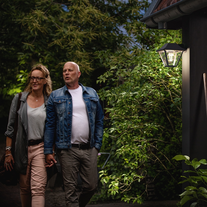 Philips - Spoljašnje zidno svetlo E27/60W/230V IP44