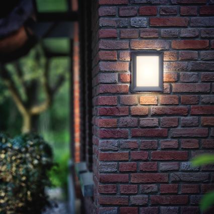 Philips - Spoljna zidna svetiljka 1xLED/6W/230V IP44