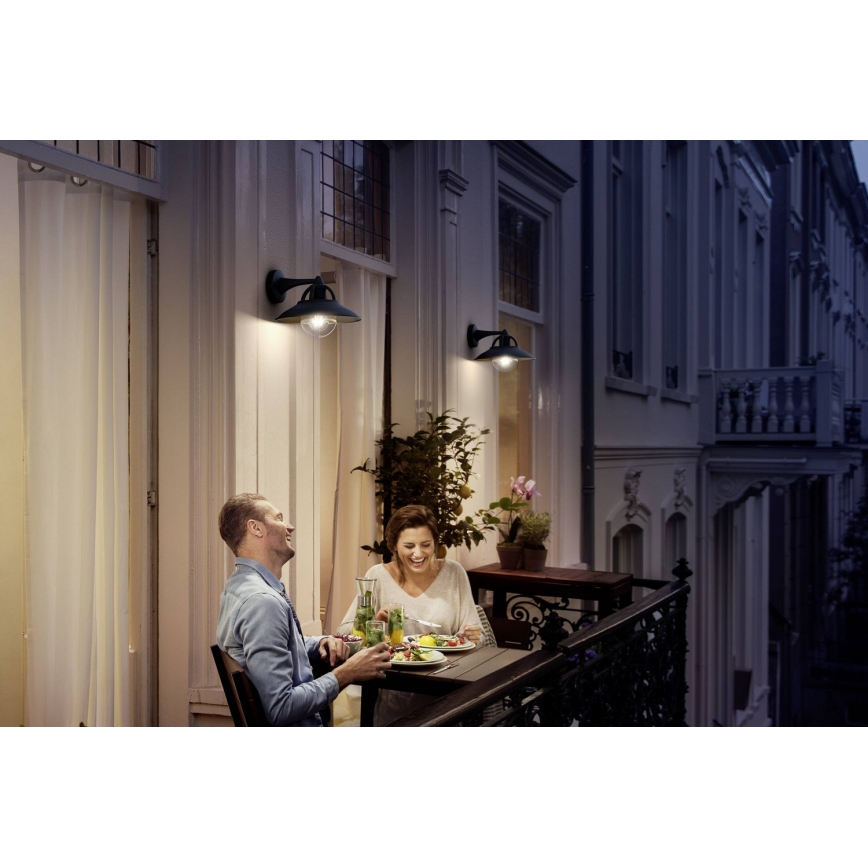Philips 17381/30/PN - Spoljašnja zidna lampa COMORANT 1xE27/42W/230V IP44