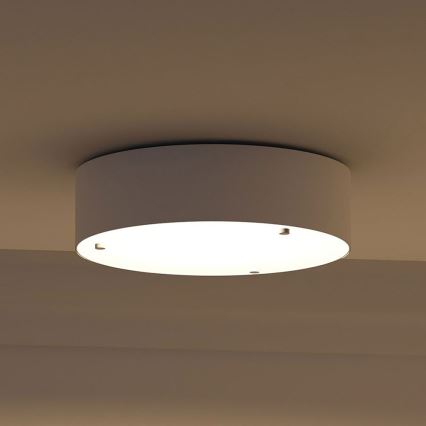 Philips - Plafonjera 2xE27/23W/230V
