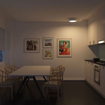 Philips - Plafonjera 2xE27/23W/230V