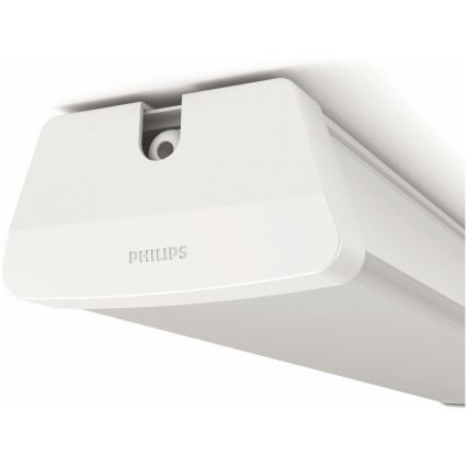 Philips - LED tehnička lampa LED/50W/230V IP65 4000K