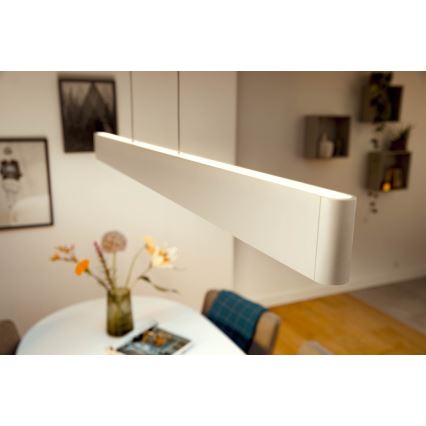 Philips - LED RGBW prigušiva viseći luster na sajli Hue ENSIS White And Color Ambiance 2xLED/39W/230V