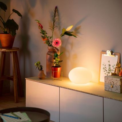 Philips - LED RGB prigušiva stona lampa Hue FLOURISH White And Color Ambiance 1xE27/9,5W/230V