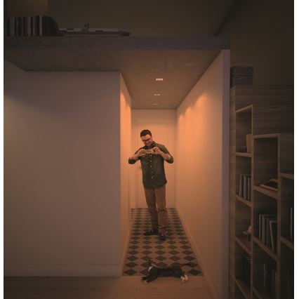 Philips  50393/11/P0 - KOMPLET 3x LED prigušiva ugradna plafonska svetiljka SHELLBARK LED/4,5W/230V