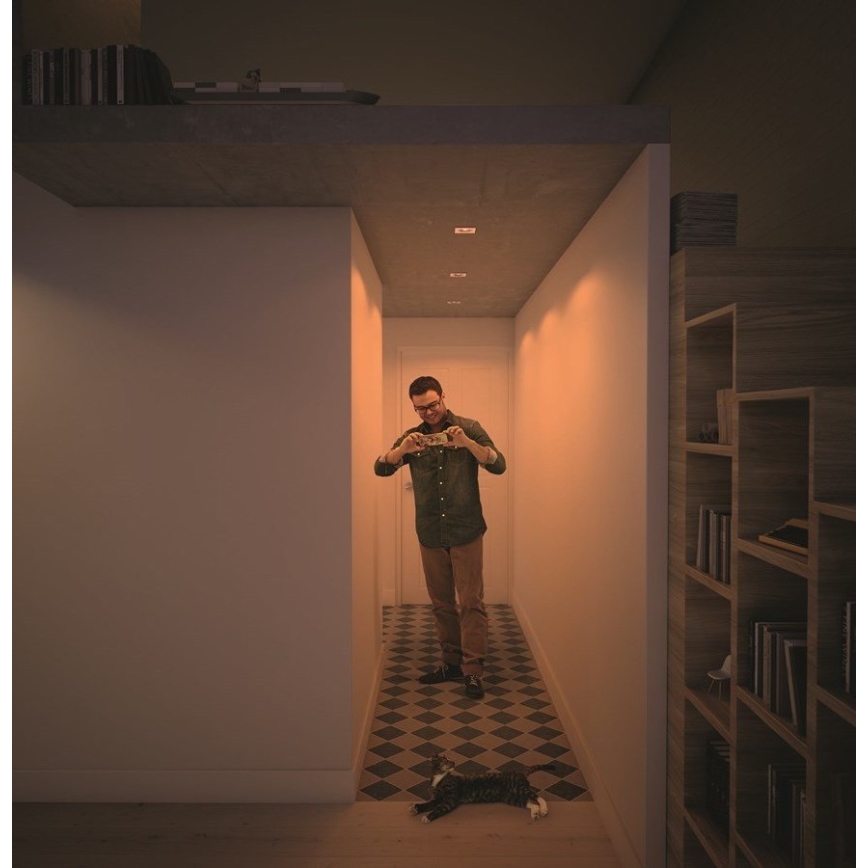 Philips  50393/11/P0 - KOMPLET 3x LED prigušiva ugradna plafonska svetiljka SHELLBARK LED/4,5W/230V