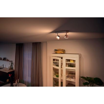 Philips - LED ugradni spot (prigušiva) 2xLED/4,5W/230V