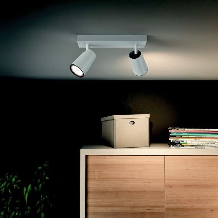 Philips - Spot svetilo 2xGU10/5,5W/230V