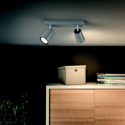 Philips - Spot svetiljka 2xGU10/5,5W/230V