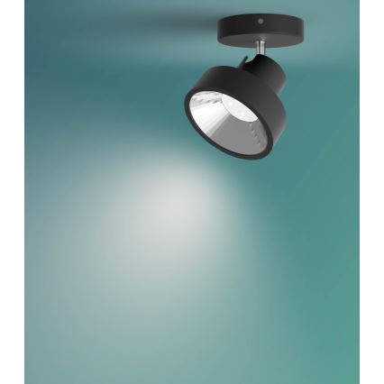 Philips 50601/30/P0 - LED spot svetiljka BUKKO LED/4,5W/230V