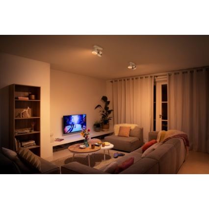 Philips 50602/31/P0 - LED spot svetlo BUKKO 2xLED/4,5W/230V