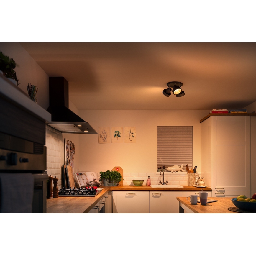 Philips 50603/30/P0 - LED prigušiva spot svetiljka BUKKO 3xLED/4,3W/230V