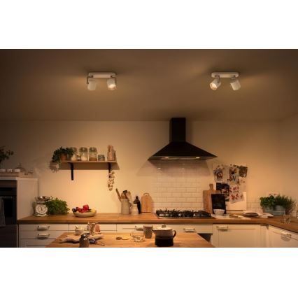 Philips - LED prigušiva spot svetiljka 2xLED/4.5W/230V