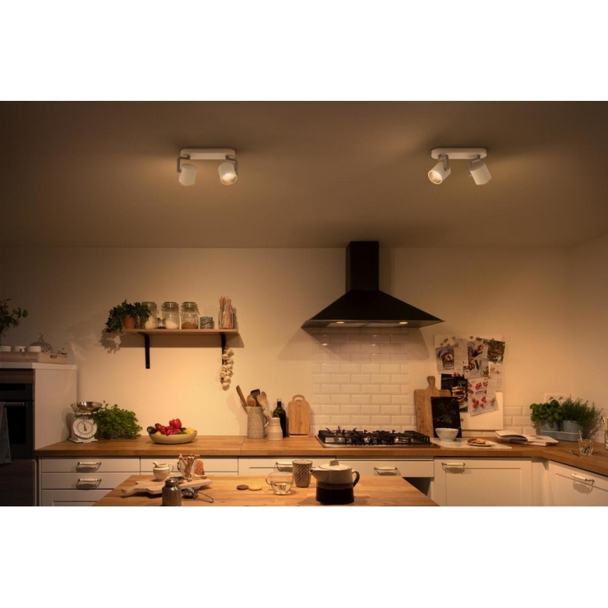 Philips - LED prigušiva spot svetiljka 2xLED/4.5W/230V