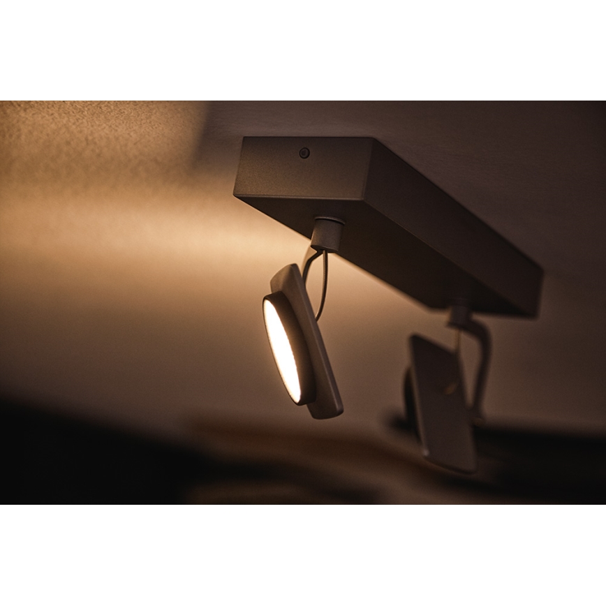 Philips 53192/48/P0 - LED spot svetlo MILLENNIUM 2xLED/4,5W/230V