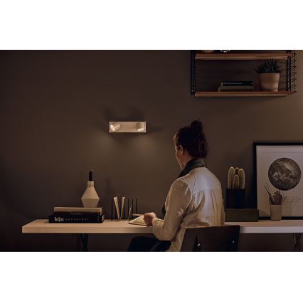 Philips 56242/31/P0 - LED prigušiva spot lampa STAR 2xLED/4,5W/230V