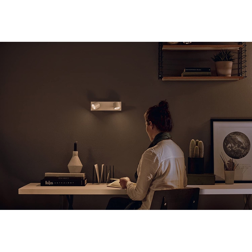 Philips 56242/31/P0 - LED prigušiva spot lampa STAR 2xLED/4,5W/230V