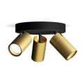 Philips - Kupatilsko spot svetlo IDRIS 3xGU10/5W/230V IP44 crno/zlatno