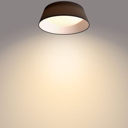 Philips - LED plafonsko svetlo LED/14W/230V crno