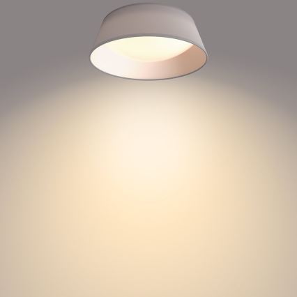 Philips - LED plafonsko svetlo LED/14W/230V sivo