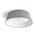 Philips - LED plafonsko svetlo LED/14W/230V sivo