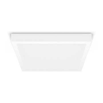 Philips - LED plafonsko svetlo LED/20W/230V 2700K belo
