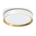 Philips - LED Prigušiva plafonjera HANNO LED/24W/230V 2700K bela