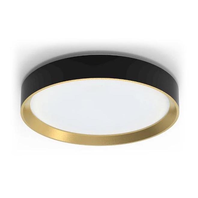 Philips - LED Prigušiva plafonjera HANNO LED/24W/230V 2700K crno