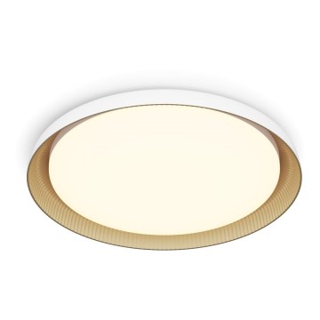 Philips - LED Prigušiva plafonjera PEBBLO SCENE SWITCH LED/10W/230V 2700K bela