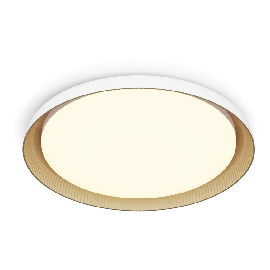Philips - LED Prigušiva plafonjera PEBBLO SCENE SWITCH LED/10W/230V 2700K bela