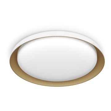 Philips - LED Prigušiva plafonjera PEBBLO SCENE SWITCH LED/10W/230V 4000K bela