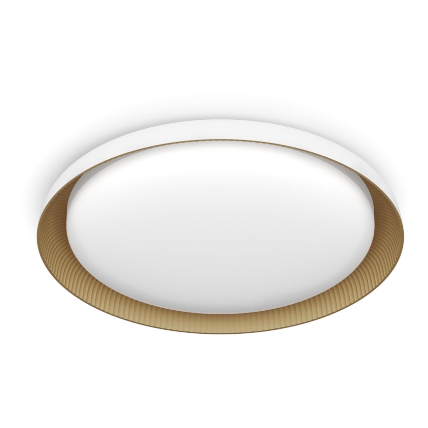 Philips - LED Prigušiva plafonjera PEBBLO SCENE SWITCH LED/10W/230V 4000K bela