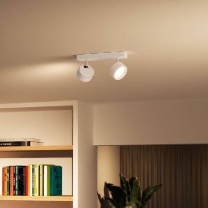 Philips - LED Reflektorska lampa 2xLED/5,5W/230V bela