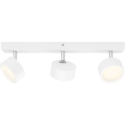 Philips - LED Reflektorska lampa 3xLED/5,5W/230V bela