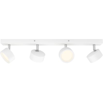 Philips - LED Reflektorska lampa 4xLED/5,5W/230V bela