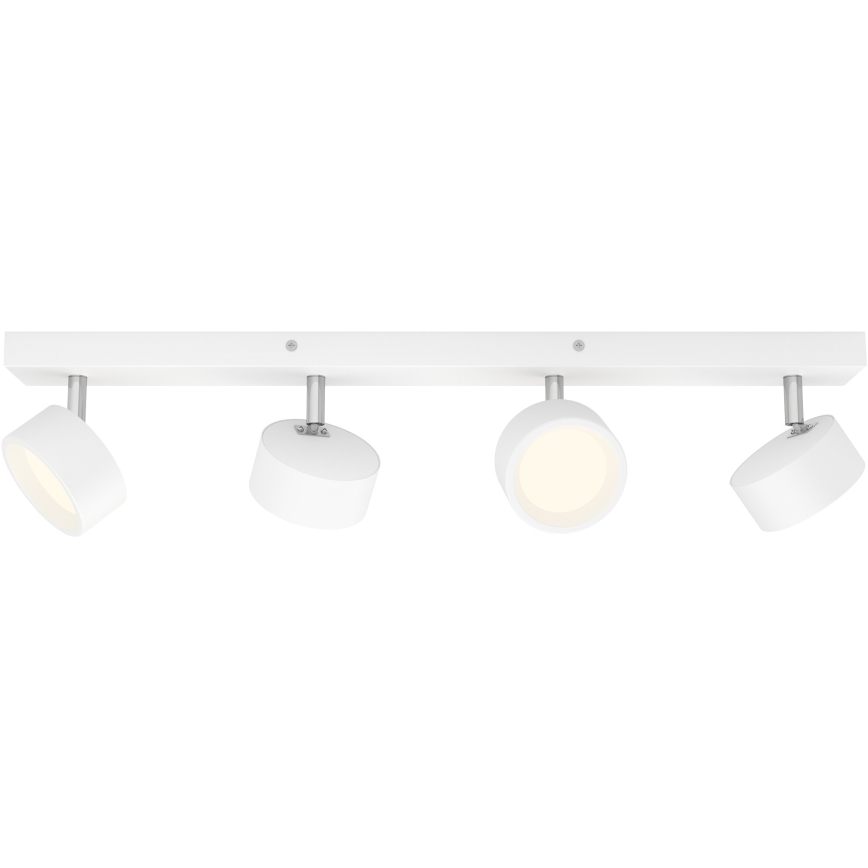 Philips - LED Reflektorska lampa 4xLED/5,5W/230V bela