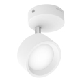 Philips - LED Reflektorska lampa LED/5,5W/230V bela