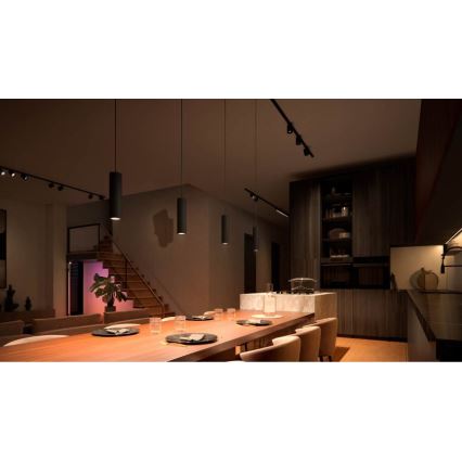 Philips - LED RGB prigušiva luster na sajli za šinski sistem Hue PERIFO LED RGB/5,2W/24V 2000-6500K