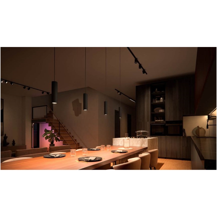 Philips - LED RGB prigušiva luster na sajli za šinski sistem Hue PERIFO LED RGB/5,2W/24V 2000-6500K