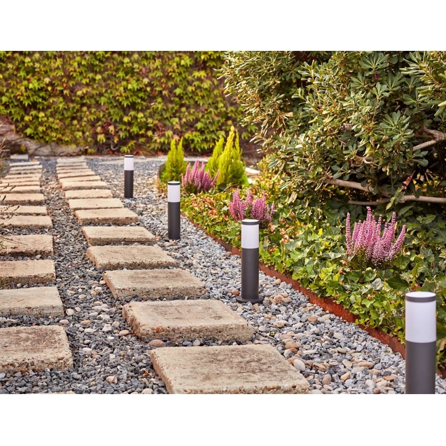 Philips - LED spoljašnja lampa GARDENLINK LED/6W/12V 2700K IP44