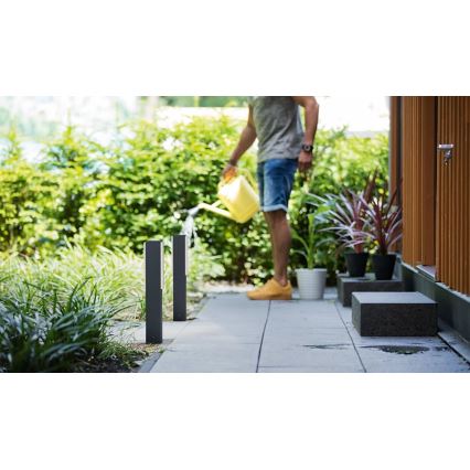 Philips - LED Spoljna lampa STRATOSPHERE LED/3,8W/230V 42 cm 2700K IP44