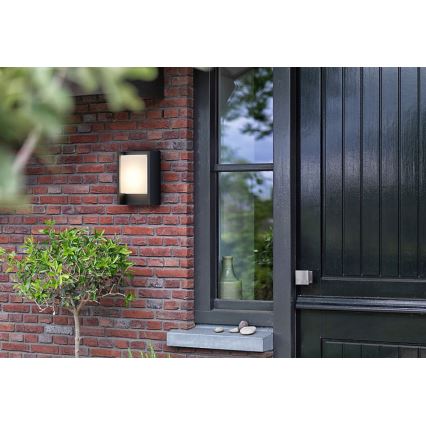 Philips - LED Spoljna zidna lampa ARBOUR LED/3,8W/230V 2700K IP44