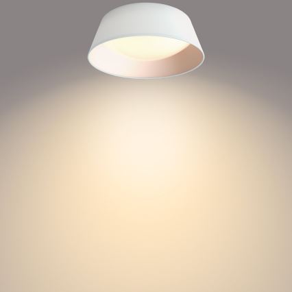 Philips - LED plafonsko svetlo LED/14W/230V belo