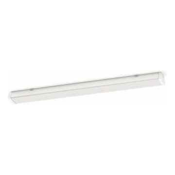 Philips - LED tehnička lampa LED/50W/230V IP65 4000K