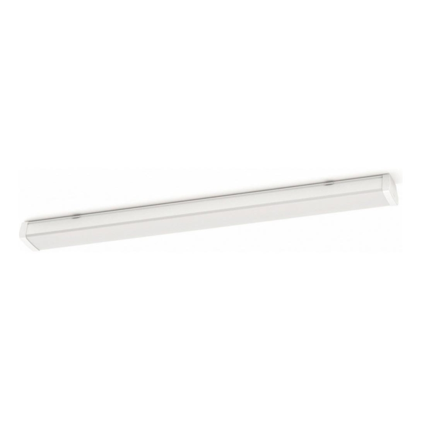 Philips - LED tehnička lampa LED/50W/230V IP65 4000K