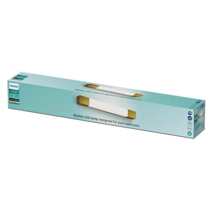 Philips - Rasveta za ogledalo u kupatilu ROVER LED/5W/230V IP44 mesing