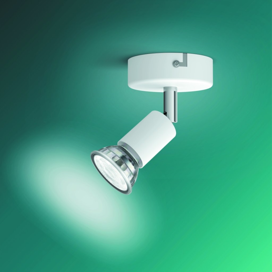 Philips - Reflektorska lampa 1xGU10/50W/230V bela