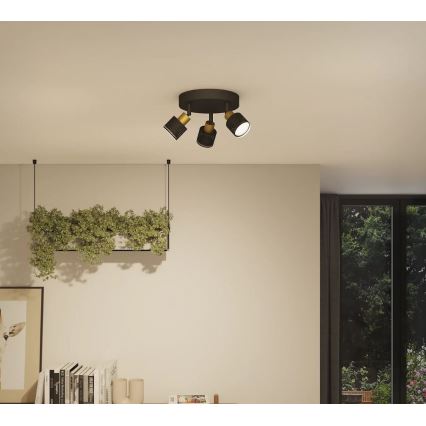 Philips - Reflektorska lampa NIALL 3xGU10/5W/230V crno/mesing